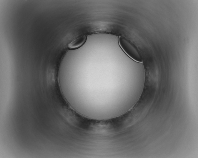 X0000114240546200910161636