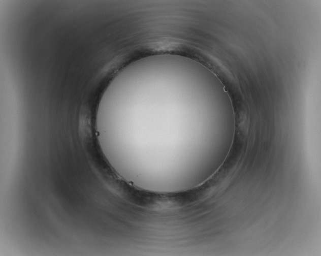 X0000114240547200910161636