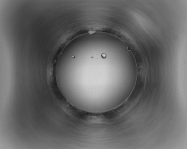 X0000114240548200910161636