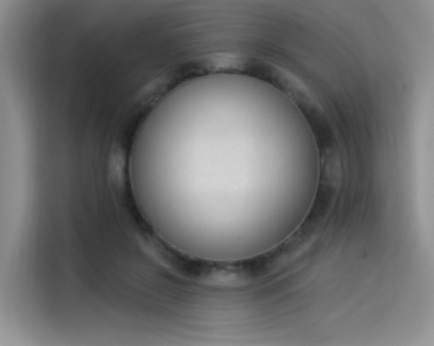 X0000114240550200910161636