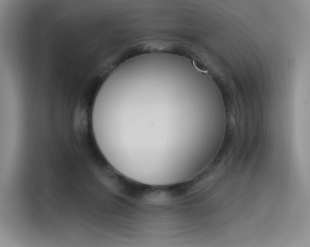 X0000114240551200910161636
