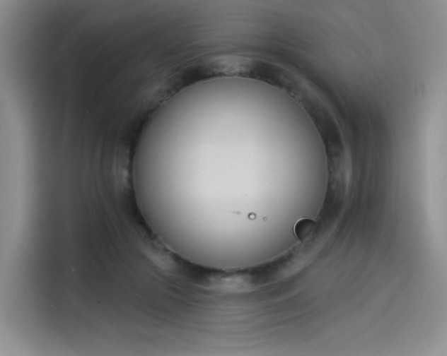 X0000114240553200910161636
