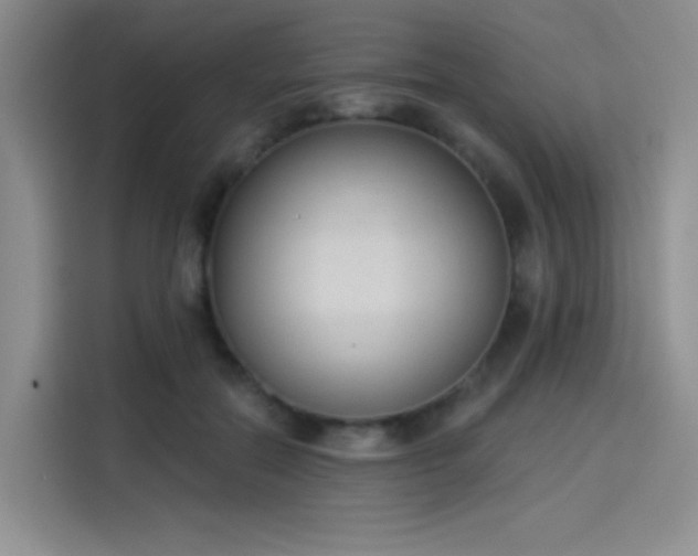 X0000114240554200910161636
