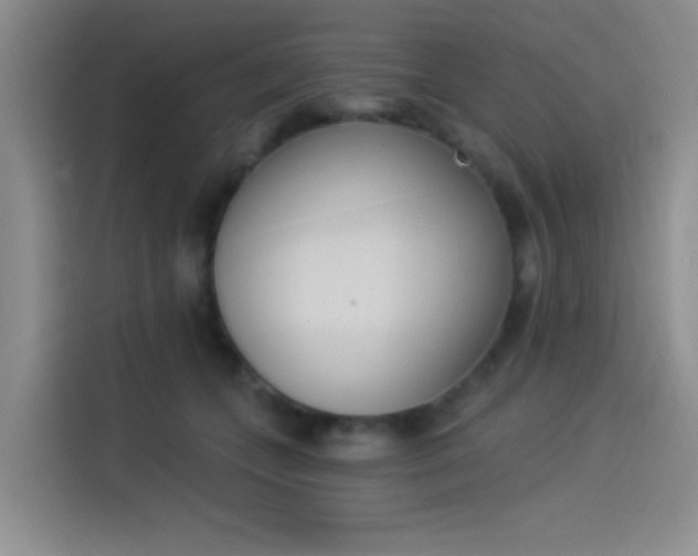X0000114240559200910161636