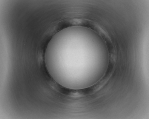 X0000114240561200910161636