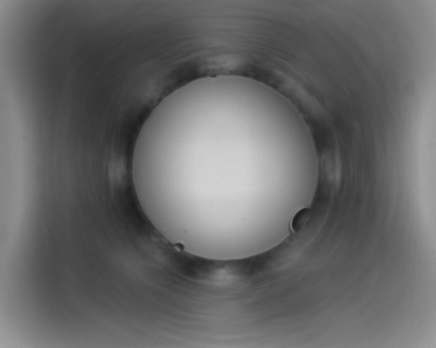 X0000114240564200910161636