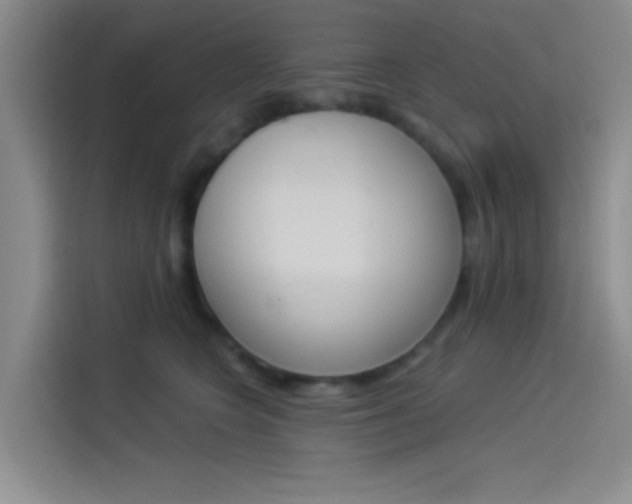 X0000114240566200910161636