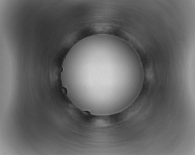 X0000114240567200910161636