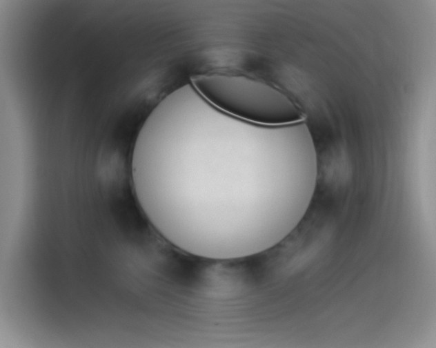 X0000114240568200910161636