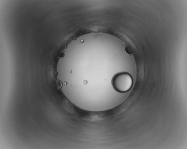 X0000114240569200910161636