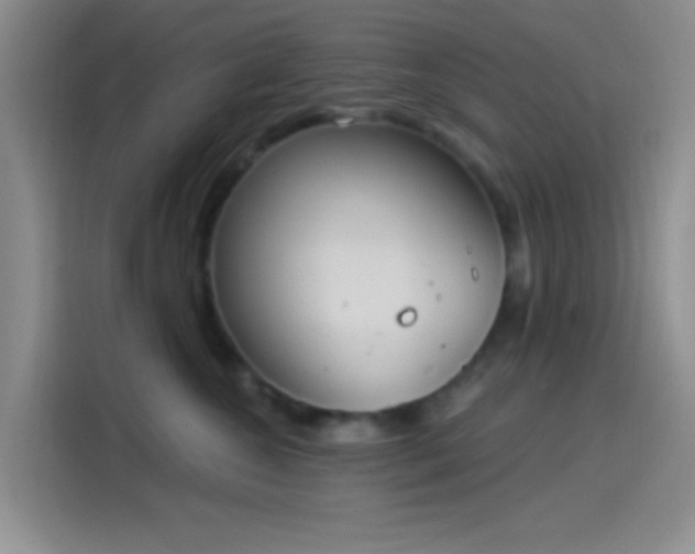 X0000114240572200910161636
