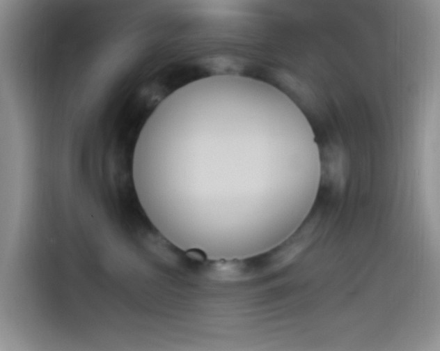 X0000114240573200910161636