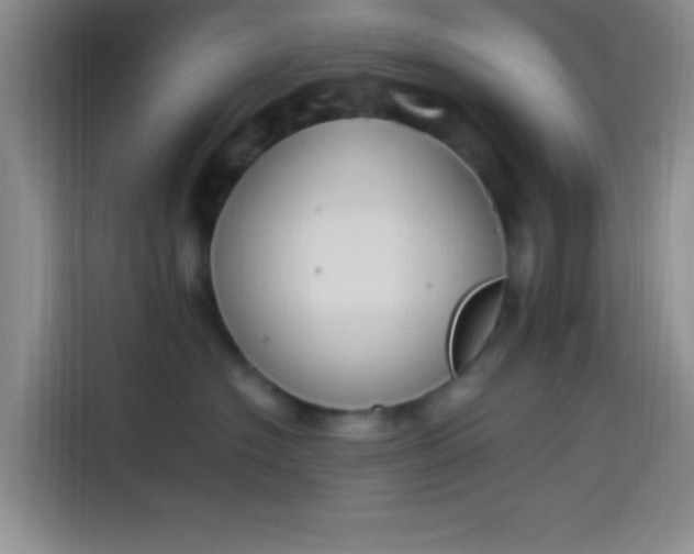 X0000114240574200910161636
