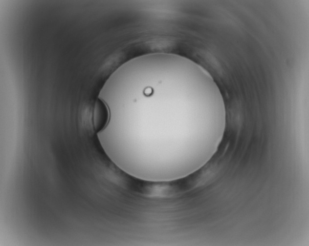 X0000114240575200910161636