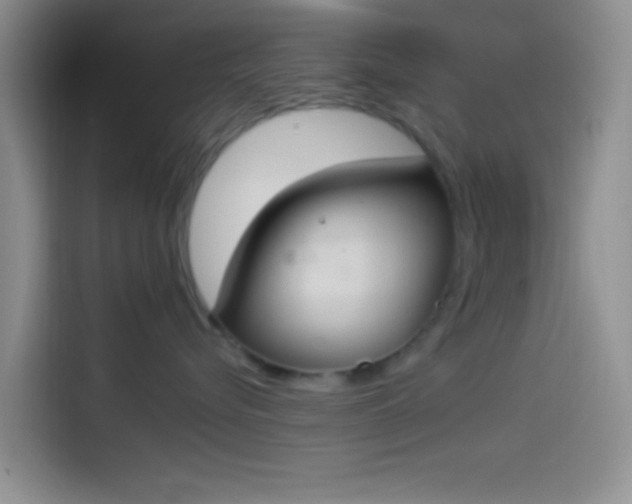 X0000114240576200910161636