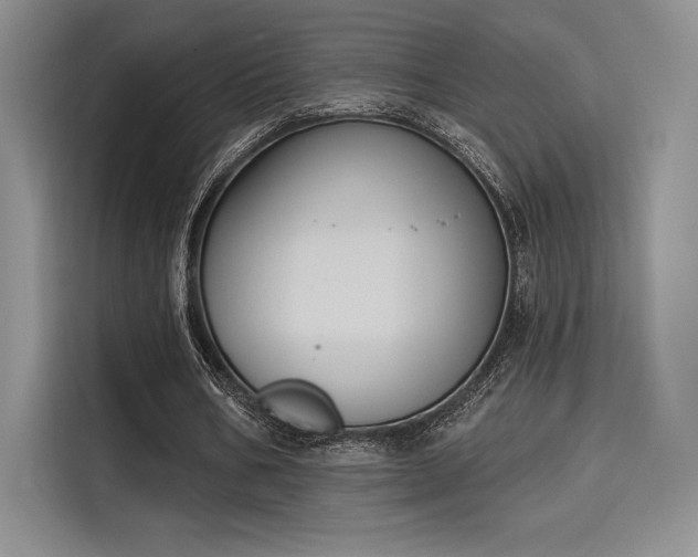 X0000114240578200910161635