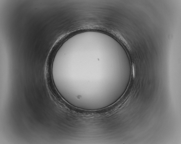 X0000114240579200910161635