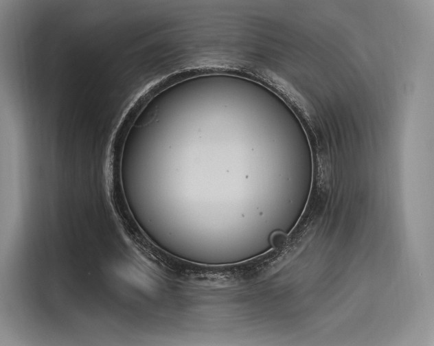 X0000114240580200910161635