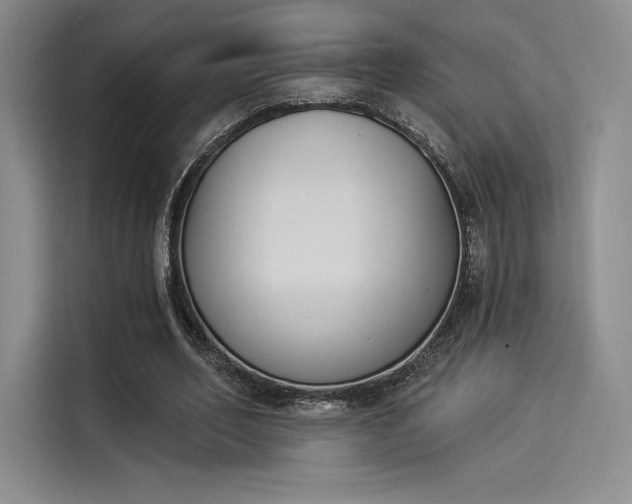 X0000114240582200910161635