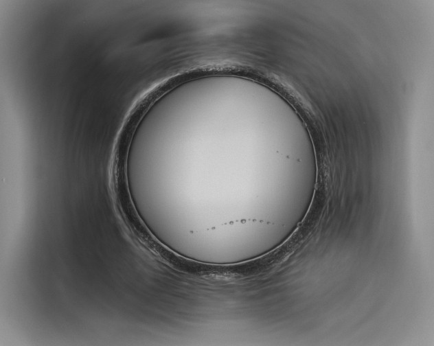 X0000114240583200910161635