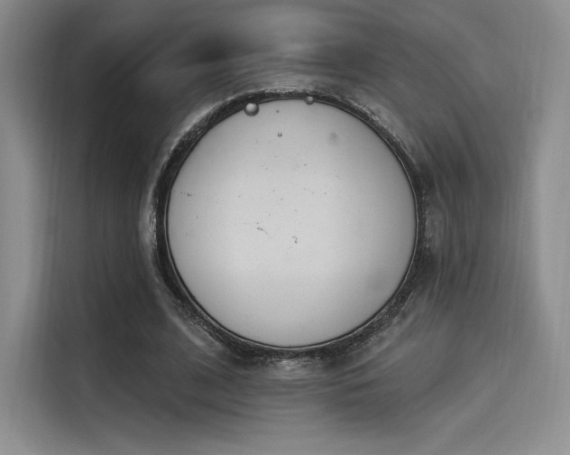 X0000114240584200910161635