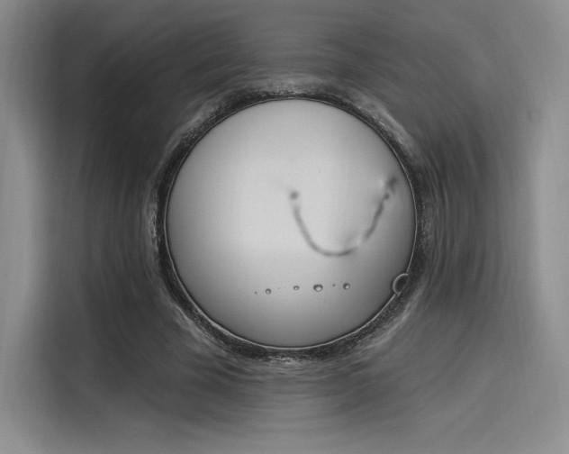 X0000114240585200910161635