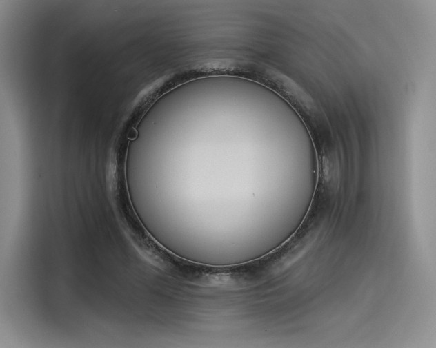 X0000114240588200910161635