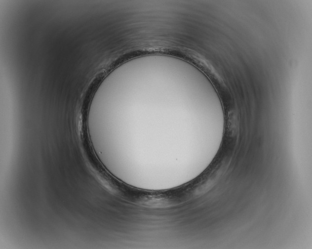 X0000114240589200910161635