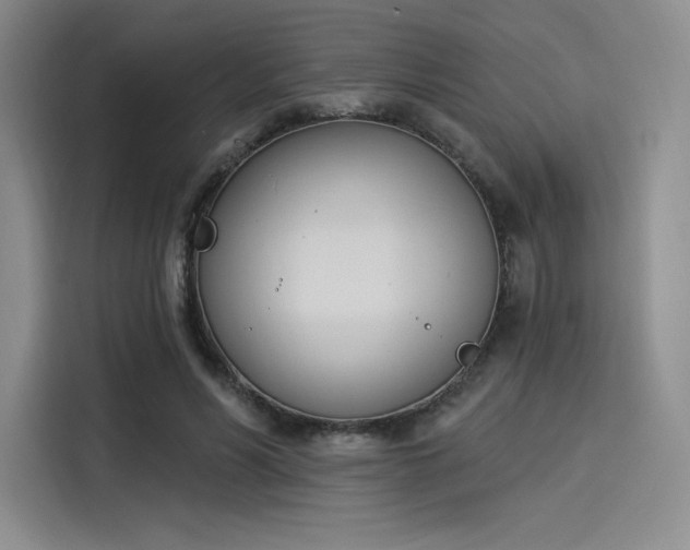 X0000114240590200910161635