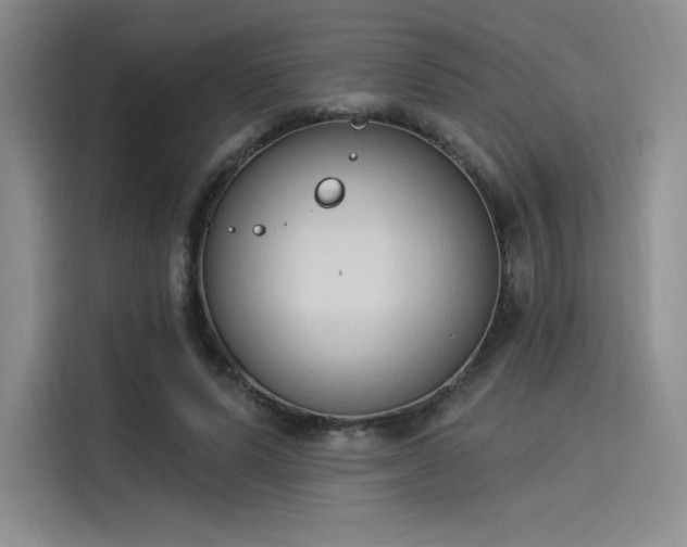 X0000114240591200910161635