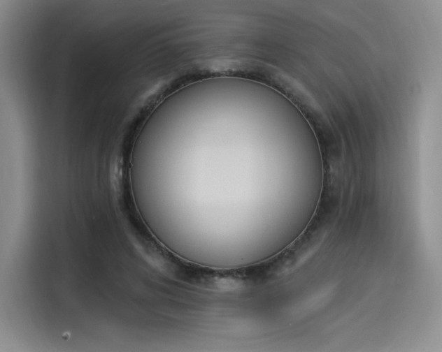 X0000114240592200910161635