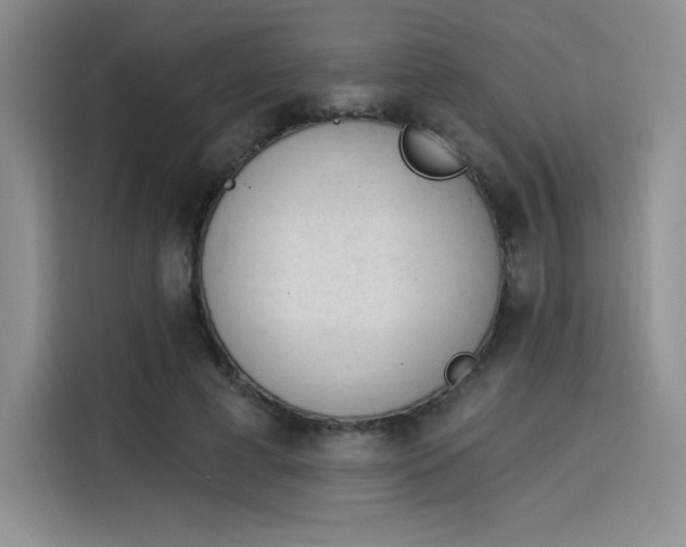 X0000114240593200910161635