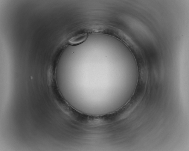 X0000114240594200910161635