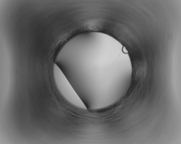 X0000114240595200910161635