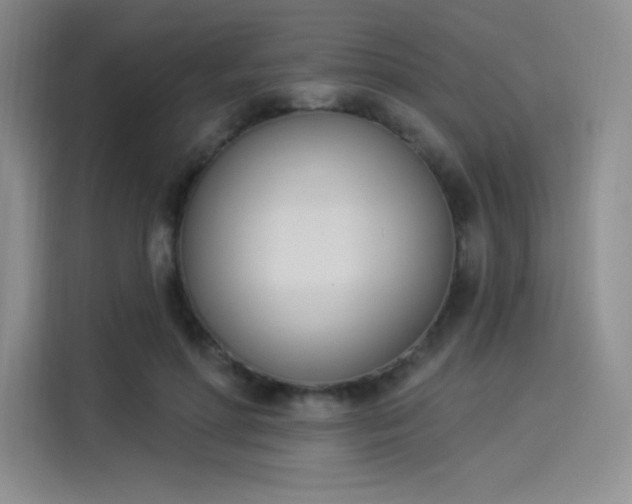X0000114240598200910161635