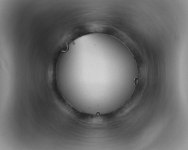 X0000114240600200910161635