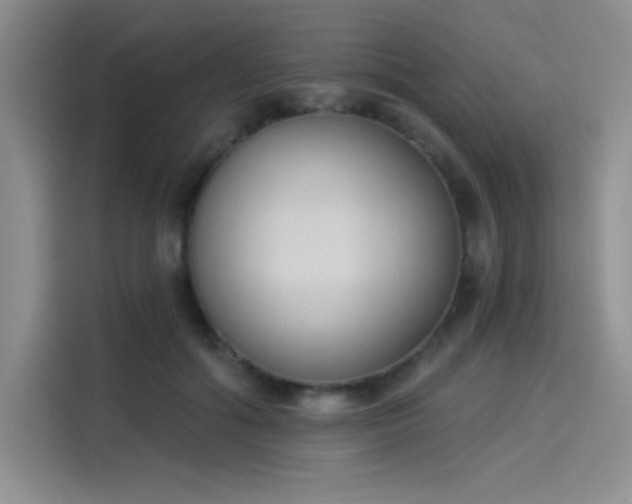 X0000114240602200910161635