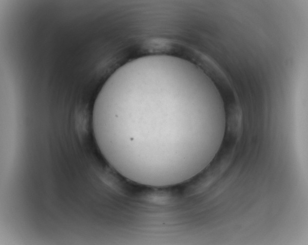 X0000114240604200910161635