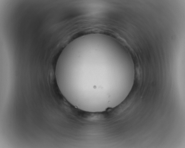 X0000114240617200910161635