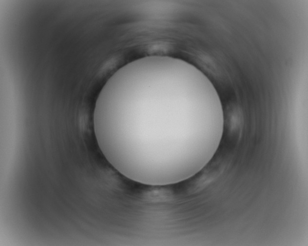 X0000114240619200910161635