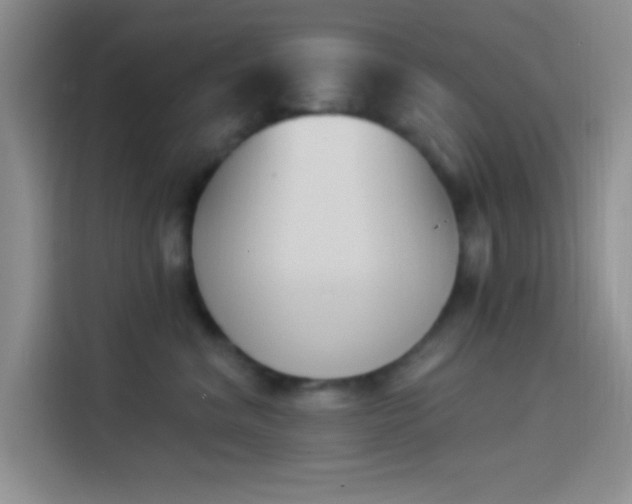 X0000114240620200910161635