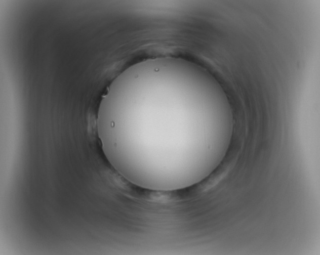 X0000114240624200910161635