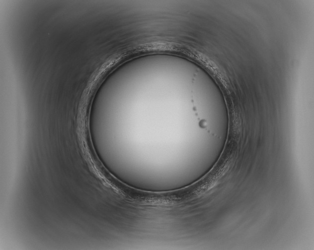X0000114240625200910161634