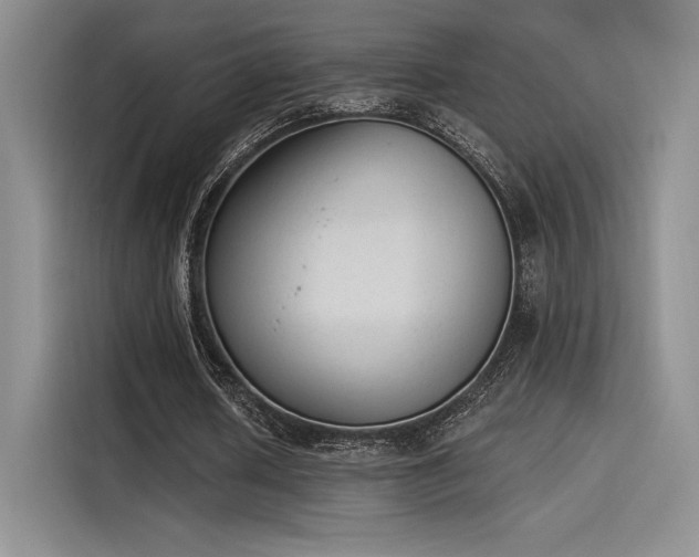 X0000114240626200910161634