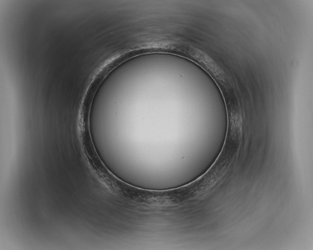 X0000114240628200910161634