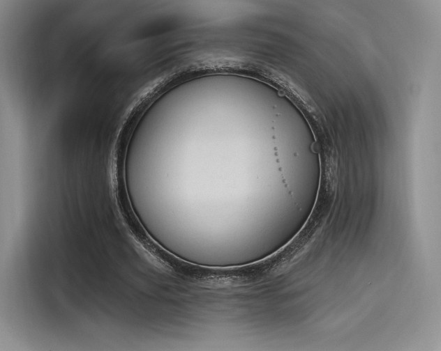 X0000114240629200910161634