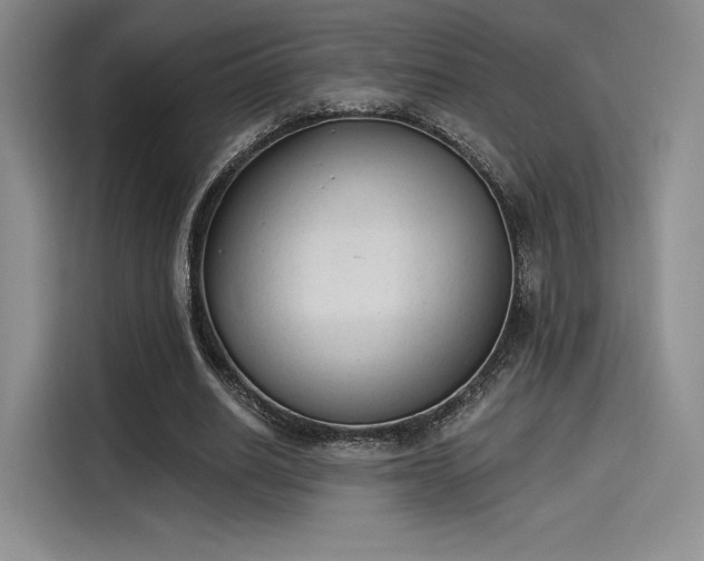 X0000114240630200910161634