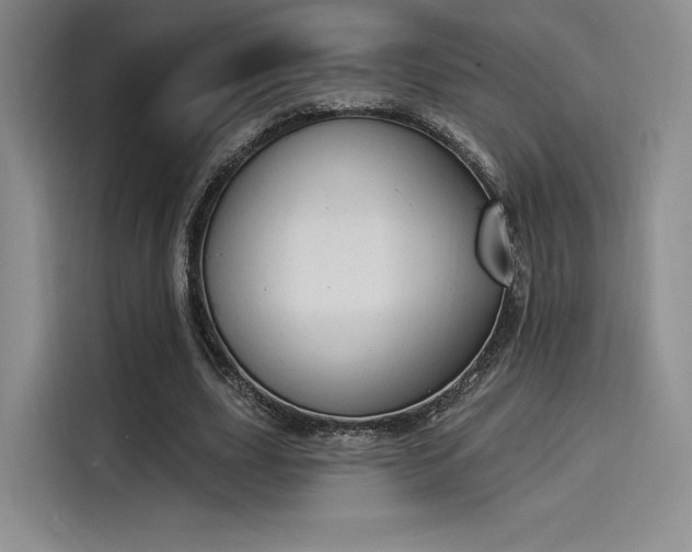 X0000114240631200910161634