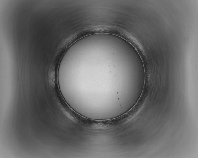X0000114240633200910161634