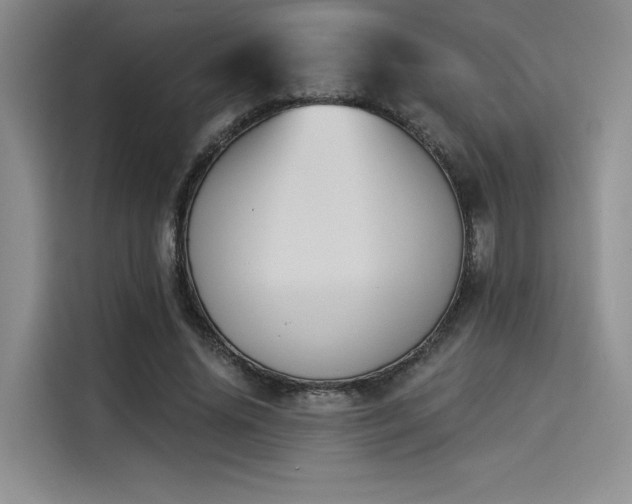 X0000114240636200910161634